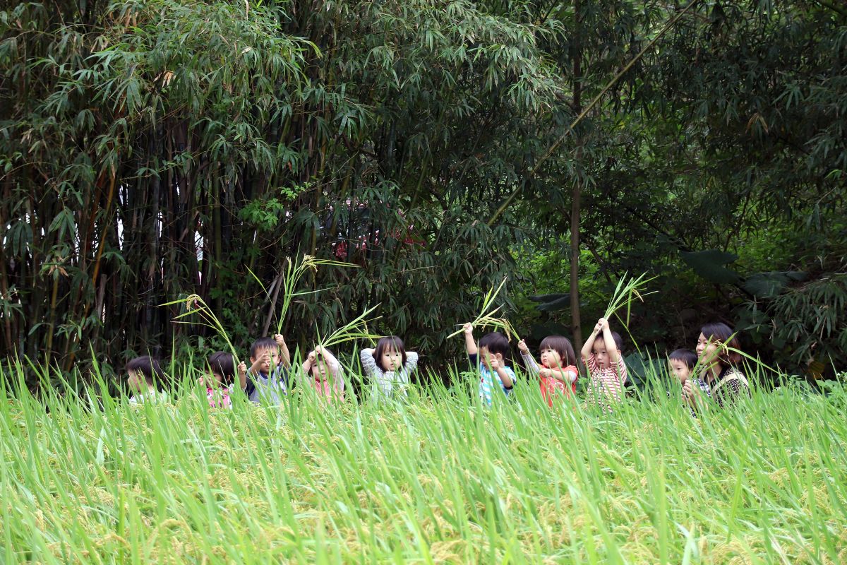 2025公立幼兒園 vs 私立幼兒園:學費、資源、環境完整比較