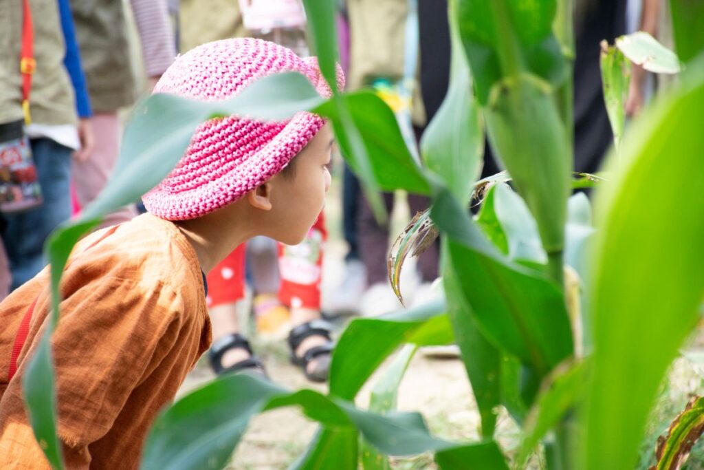 節氣生活教育-四季生態